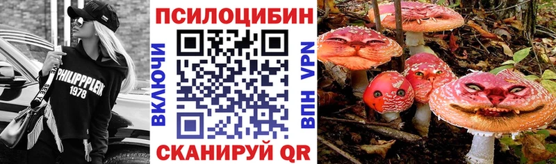Галлюциногенные грибы Cubensis  что такое наркотик  Нягань 